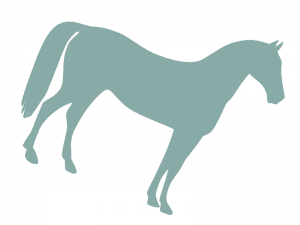 image horse